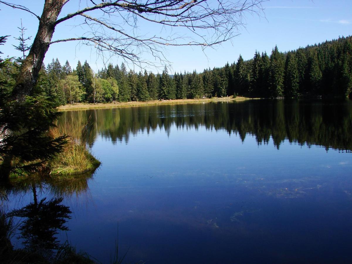 Penzion Alfa Železná Ruda Exterior foto